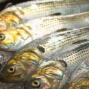 태안새마을금고 이미지