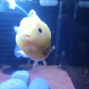 금어농장 이미지