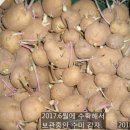 광천농약사 이미지