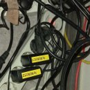 건 동물병원 이미지