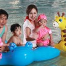 패밀리 워터파크 이미지