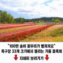 &#34;937m인데 이렇게 쉽게 오를 수 있다니&#34; 실제 등산객들이 추천한 수도권 명산 이미지