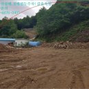 부평8리 네이버블로그