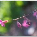 유심농장 이미지