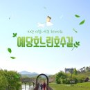 느린호수길 이팝나무길 이미지