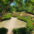 밤골어린이공원 이미지