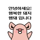 일목식당 | 강남역 신논현 횟집 술집 주나수산 정준하 내돈내산 솔직후기 회식 주차가능