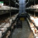 다울농장 이미지