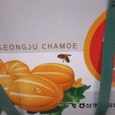 요셉농장 이미지