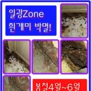 해충박멸ZERO