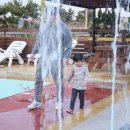 영해할인마트 이미지