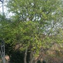 중화동교회 이미지