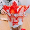 토끼를따라간앨리스 이미지