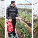 상명농장 이미지