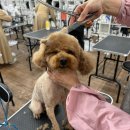 산호동150 이미지