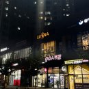 충주 LUNA(루나) 플라잉요가 도전기
