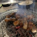 달래창 | 대구 두류네거리 두류역 떠오르는 찐막창 맛집 '정원막창' 내 돈 내산 후기!