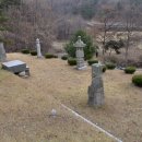 진화 묘 이미지