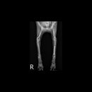 왕십리동물병원 이미지