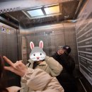 팝필드코인노래연습장 이미지