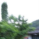 한옥별장 이미지