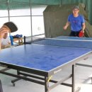 바위솔타운 이미지