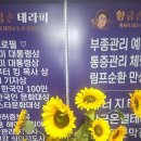 고잔1길 | 안산 고잔동 통증관리 제대로 받은 황금손테라피 마사지 방문후기