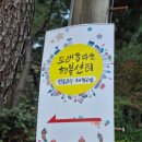 모래톱행복마을협동조합 | 토요진로한마당 [두부만들기] in모래톱마을 행복센터