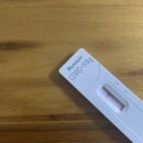 오희선 착한찜닭 이미지