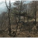 충주호 종댕이 이미지