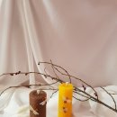 곤지암읍 곤지암리 543 이미지