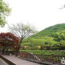 보산동 관광특구3 이미지