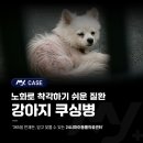 소로동물병원
