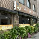 두둥실 청둥오리 이미지