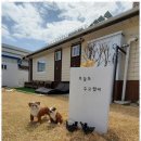 신리환경 네이버블로그