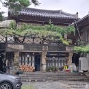 한정식 소나무 앞 이미지