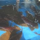 대왕수산 이미지