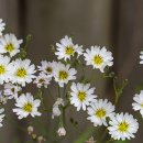 도장공원길 이미지