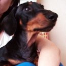 금광동물병원 이미지