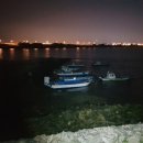 시화2태양광 발전소 이미지