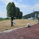 북내면행정복지센터 이미지