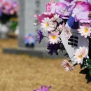 현충원 산책길 이미지