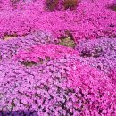 도황경로당 이미지