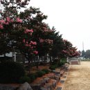 대홍초등학교 이미지