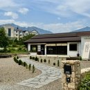 도평커피 이미지