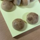 엠지바이오 | 뭐가 그리 샘이 났길래 그토록 휘몰아쳤던가