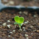 순화농장 이미지