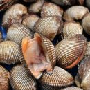 신수시장 이미지