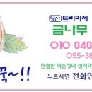 금나무공인중개사사무소 이미지