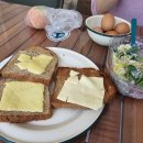 대피소 울릉 이미지